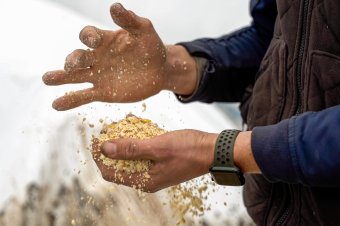 Mezőgazdasági előrejelzés: szegényesebb lesz az idei gabonatermés a tavalyinál