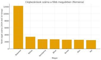 Tíz hónap alatt közel hetvenezer cég szűnt meg