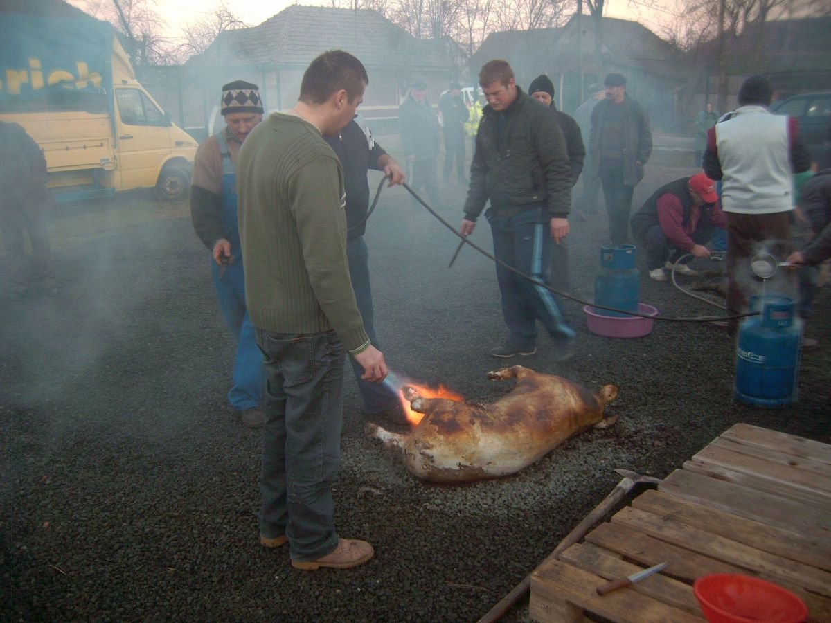Új idők szokása: perzselés gázzal &bullet;  Fotó: Pataky Lehel Zsolt