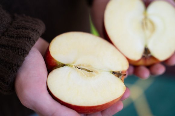 Sokoldalú gyümölcsünk: az alma