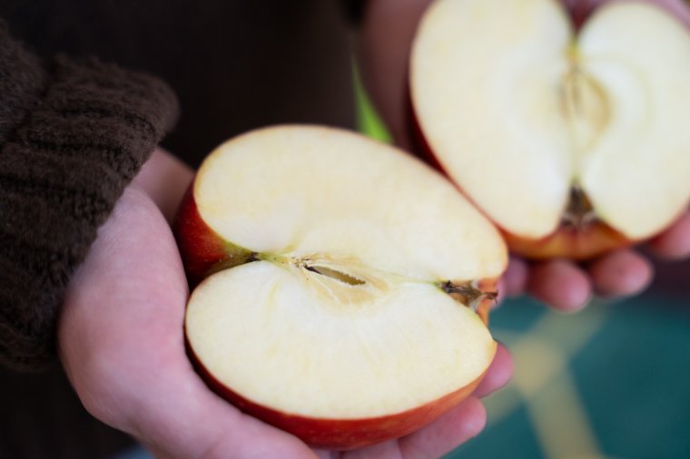 Az alma dicsérete – nemcsak édességek, de saláták, sós étkek összetevője, sőt, ennél is több