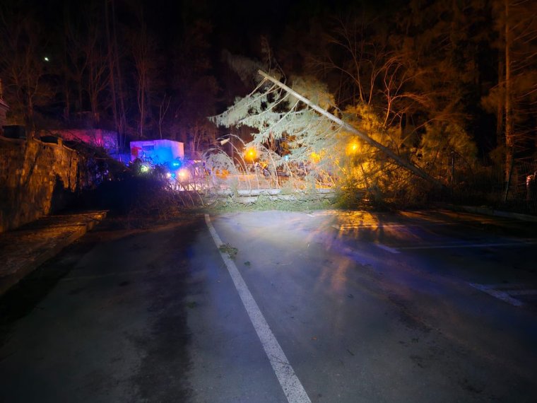 Viharos időjárás: fákat döntött ki a szél több üdülőhelyen