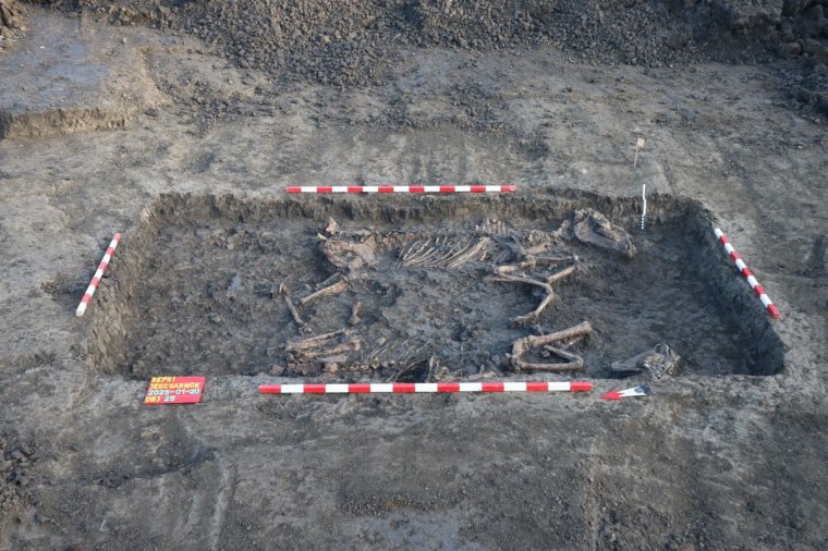 Újabb lósír és késő bronzkori régészeti leletek kerültek elő Sepsiszentgyörgyön