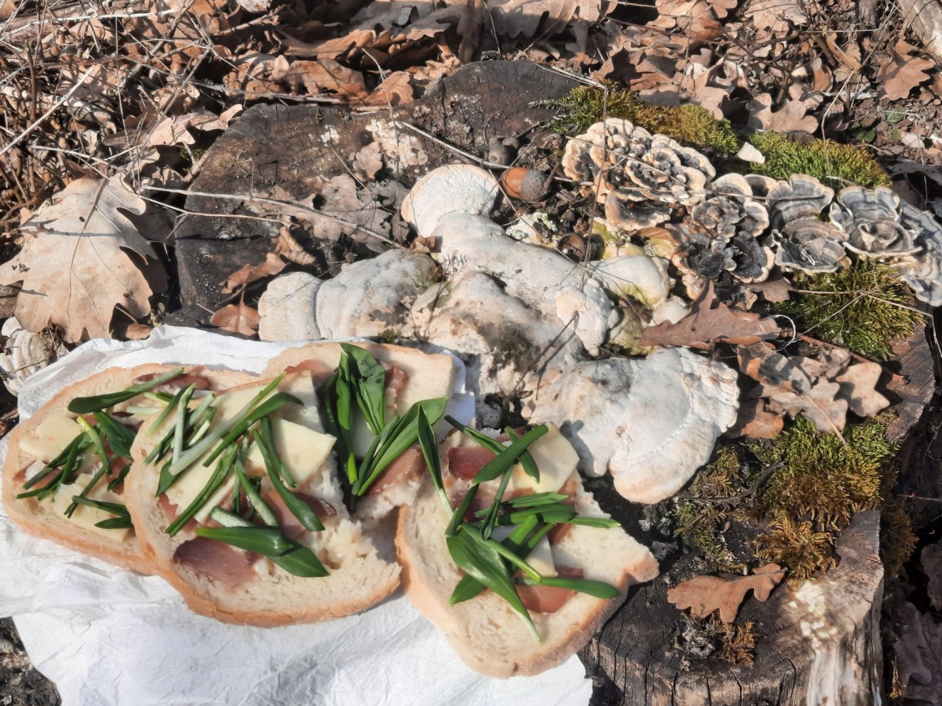 vadnövények