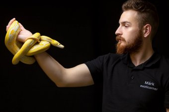 Élménypedagógia született a hüllőgyűjtő szenvedélyből