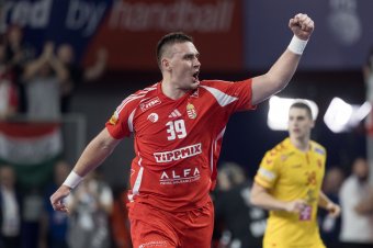 Csoportelsőként jutott a középdöntőbe a magyar férfi kézilabda-válogatott a világbajnokságon