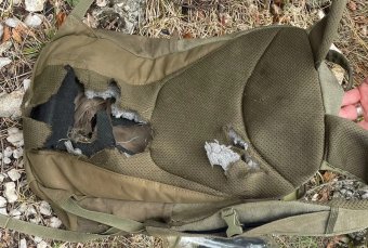 Elhagyott, megszaggatott hátizsákra bukkantak a hegyimentők ott, ahol sok a medve