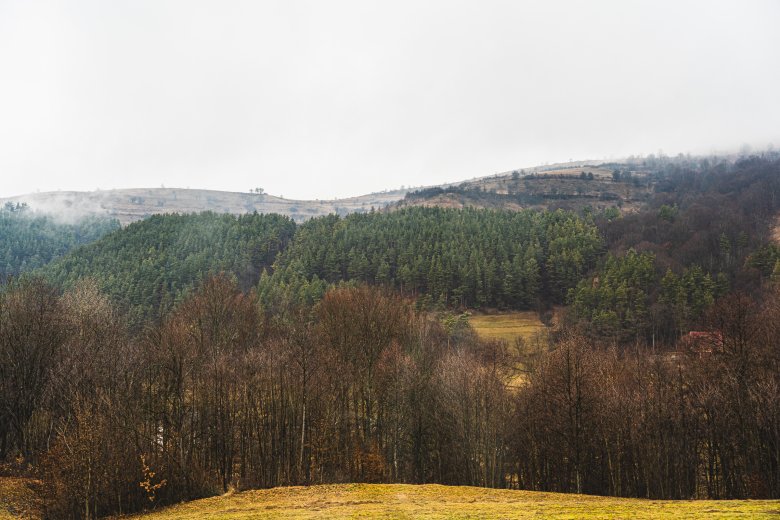 Az Emberi Jogok Európai Bíróságához fordul az ozsdolai közbirtokosság