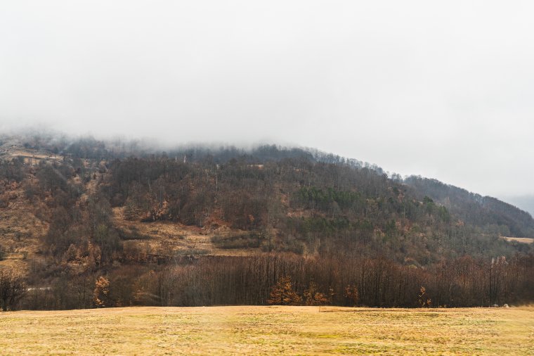 Megmenekült a burkolt államosítástól a sepsiszentgyörgyi Szemerja-Görgő Közbirtokosság