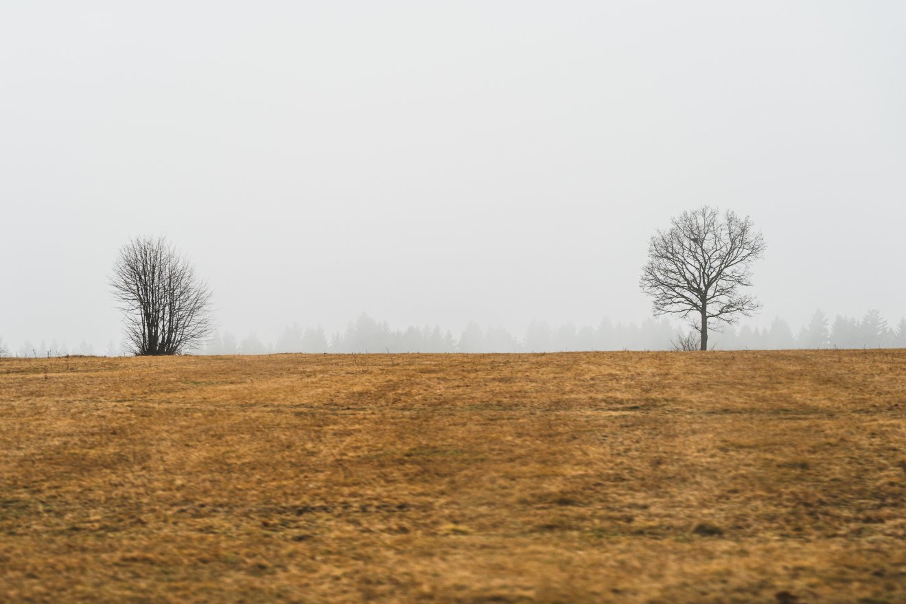 &bullet;  Fotó: Orbán Orsolya