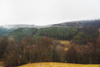 Az Emberi Jogok Európai Bíróságához fordul az ozsdolai közbirtokosság