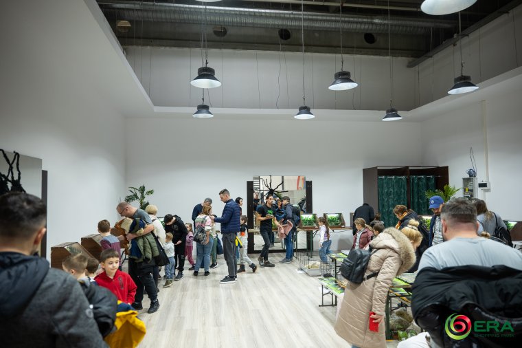Csodák Terráriuma – Erdély-szerte „felbukkannak” majd az egzotikus állatok