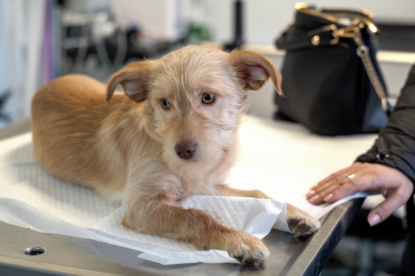 Képünk illusztráció &bullet;  Fotó: Orbán Orsolya