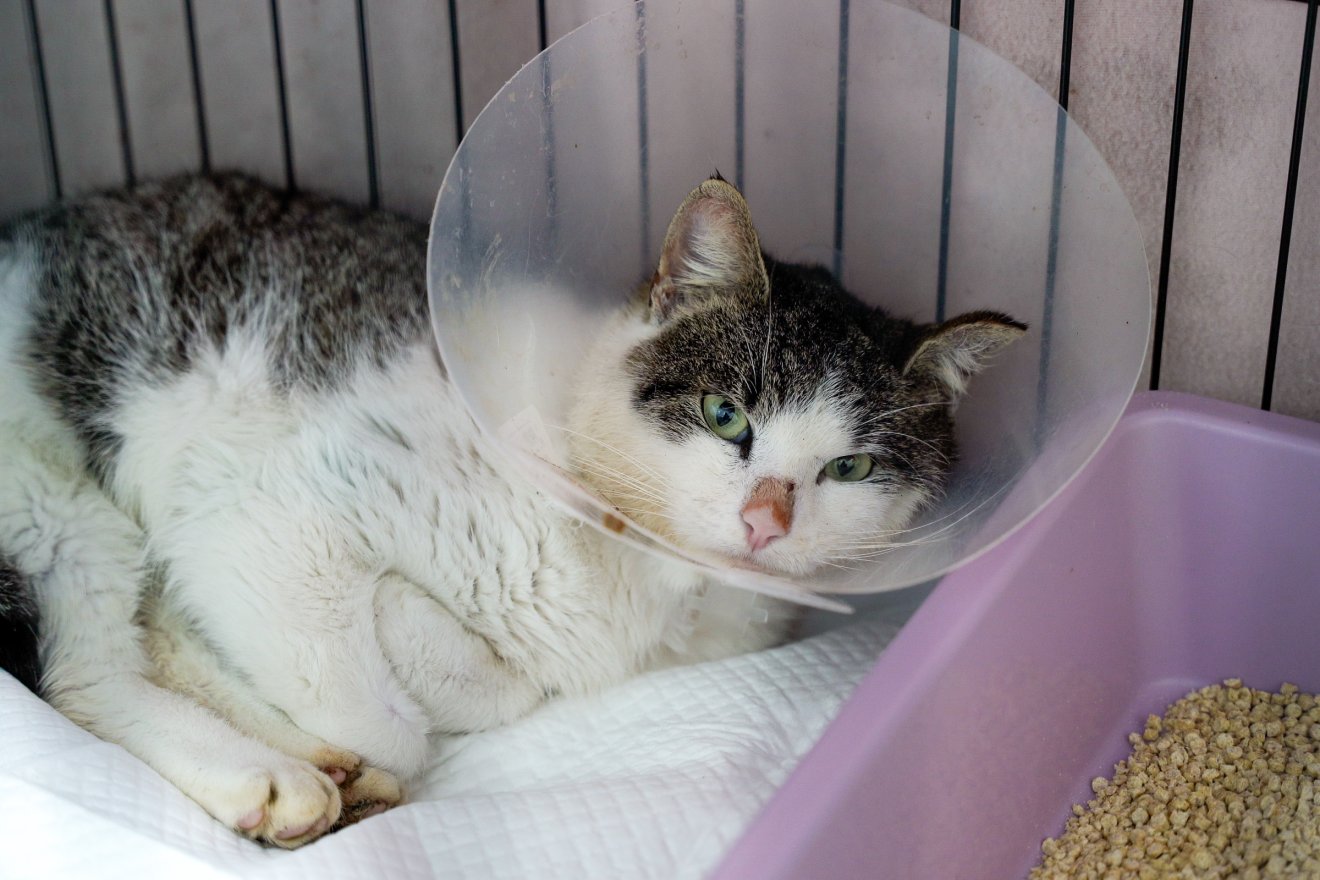 &bullet;  Fotó: Orbán Orsolya