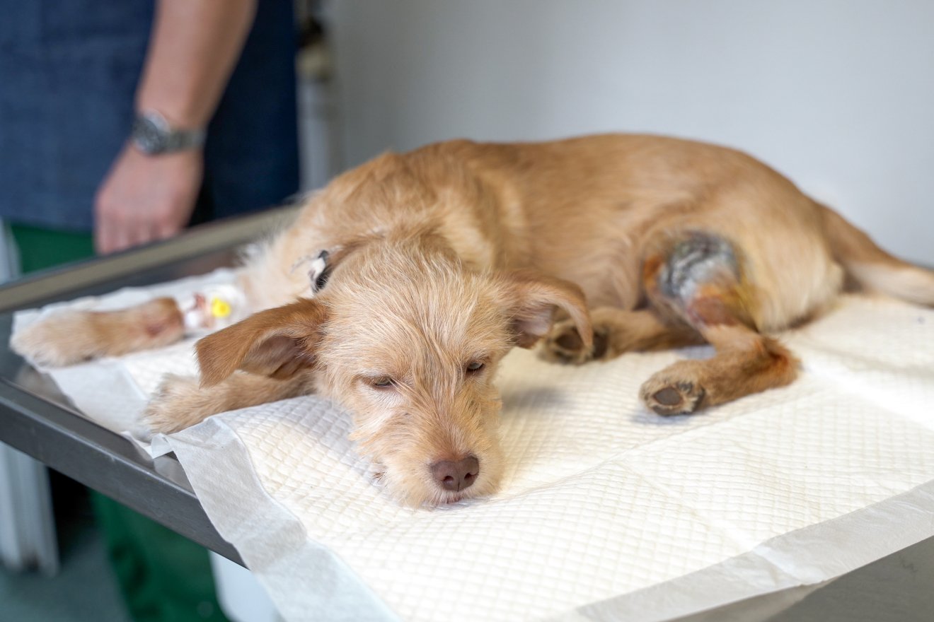 &bullet;  Fotó: Orbán Orsolya