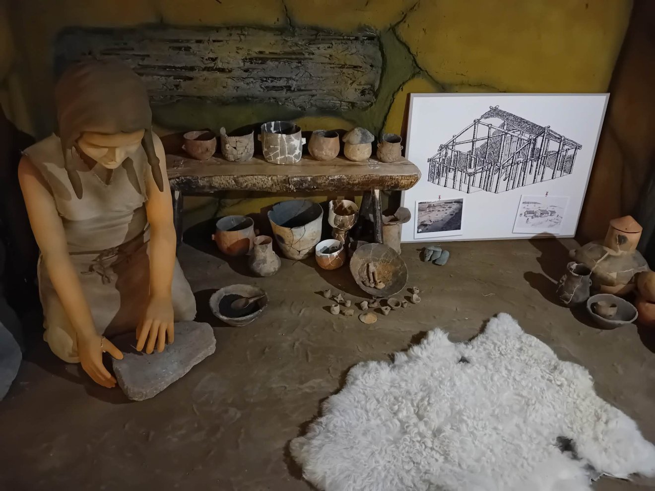 Szatmárnémeti múzeum