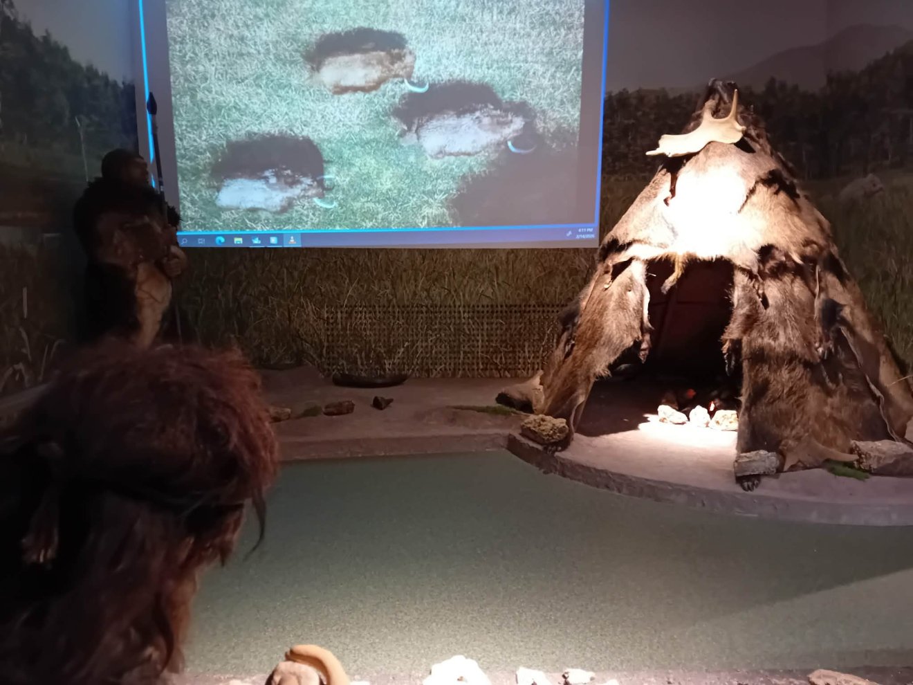 Szatmárnémeti múzeum