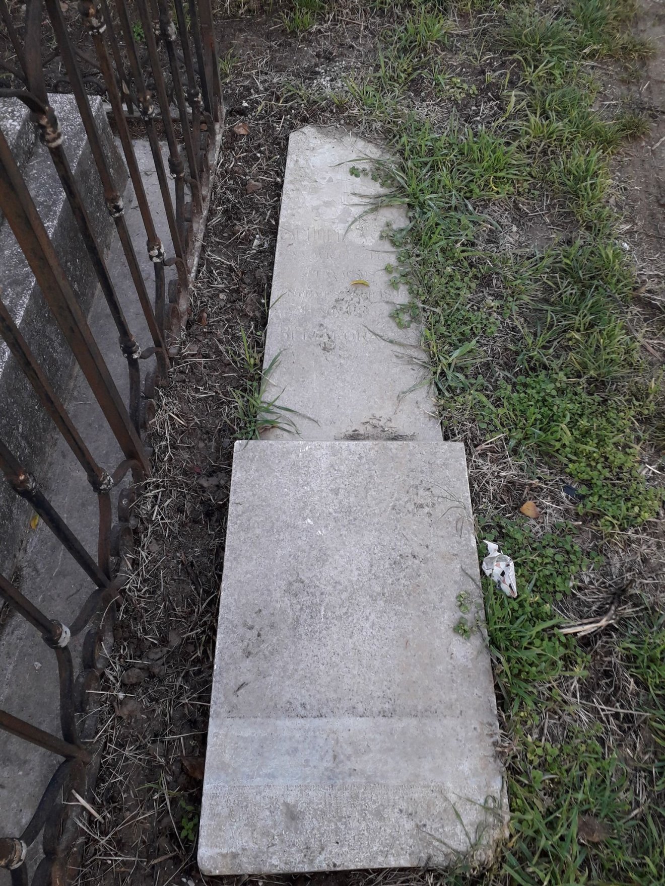 Schopf Antal sírkövét beletaposták a járókelők a földbe &bullet;  Fotó: Facebook/Bánsági Magyar Értékekért Egyesület