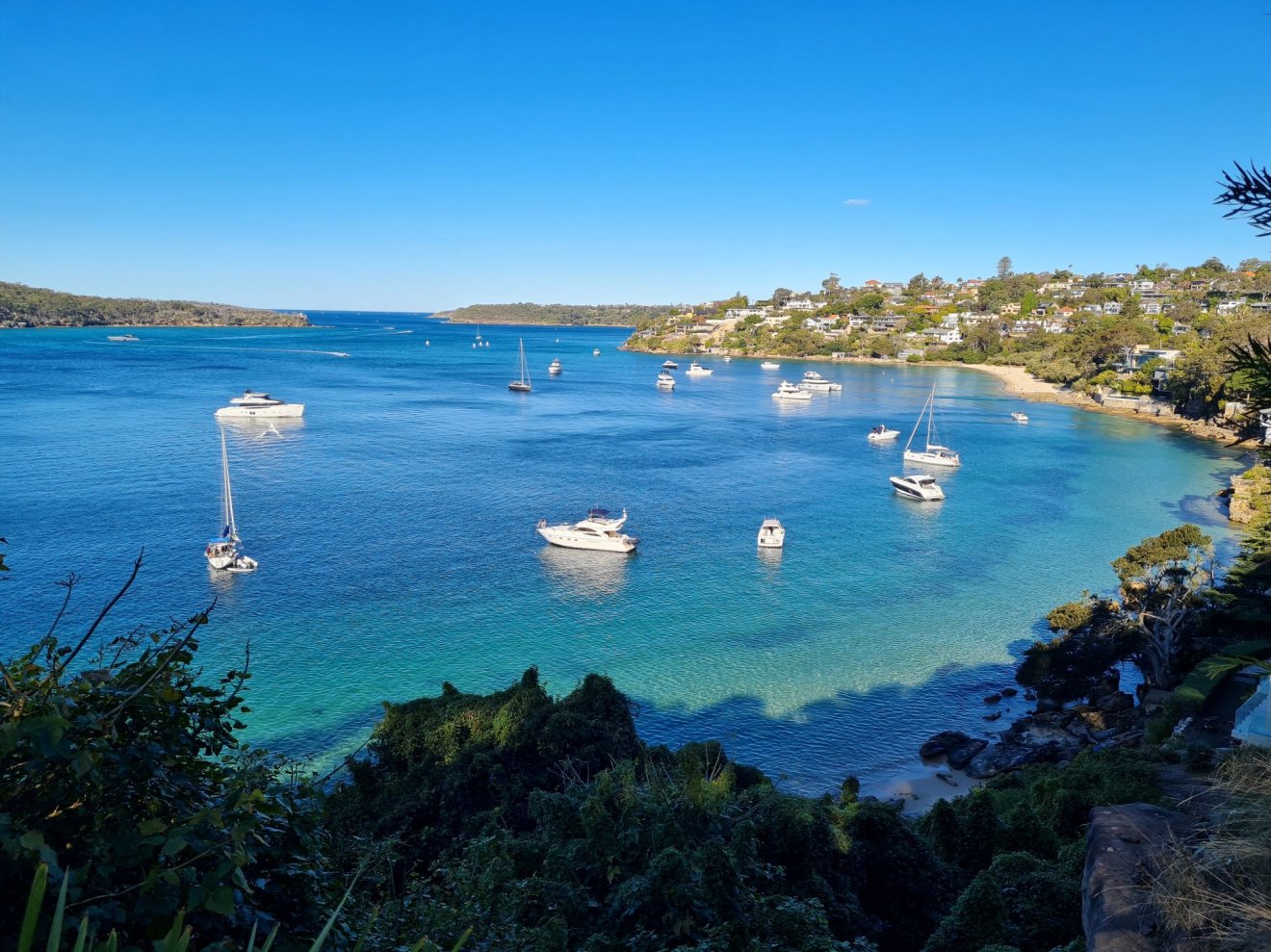 Sepsiszentgyörgy, Ausztrália