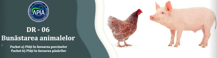 APIA: március közepétől adhatók le a 2026-os támogatási kérelmek