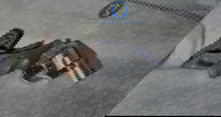 Lövöldözött is a 18 éves fiatal: fegyvereket foglalt le a rendőrség Brassó megyében