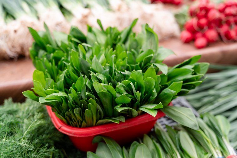 Medvehagyma, az erdő tavaszi ajándéka: sokféle aromás, ízes fogás alkotóeleme lehet