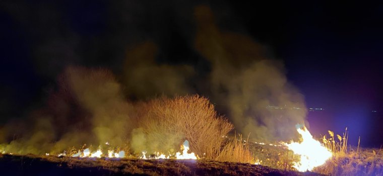 Börtönbüntetés járhat a tarlóégetésért