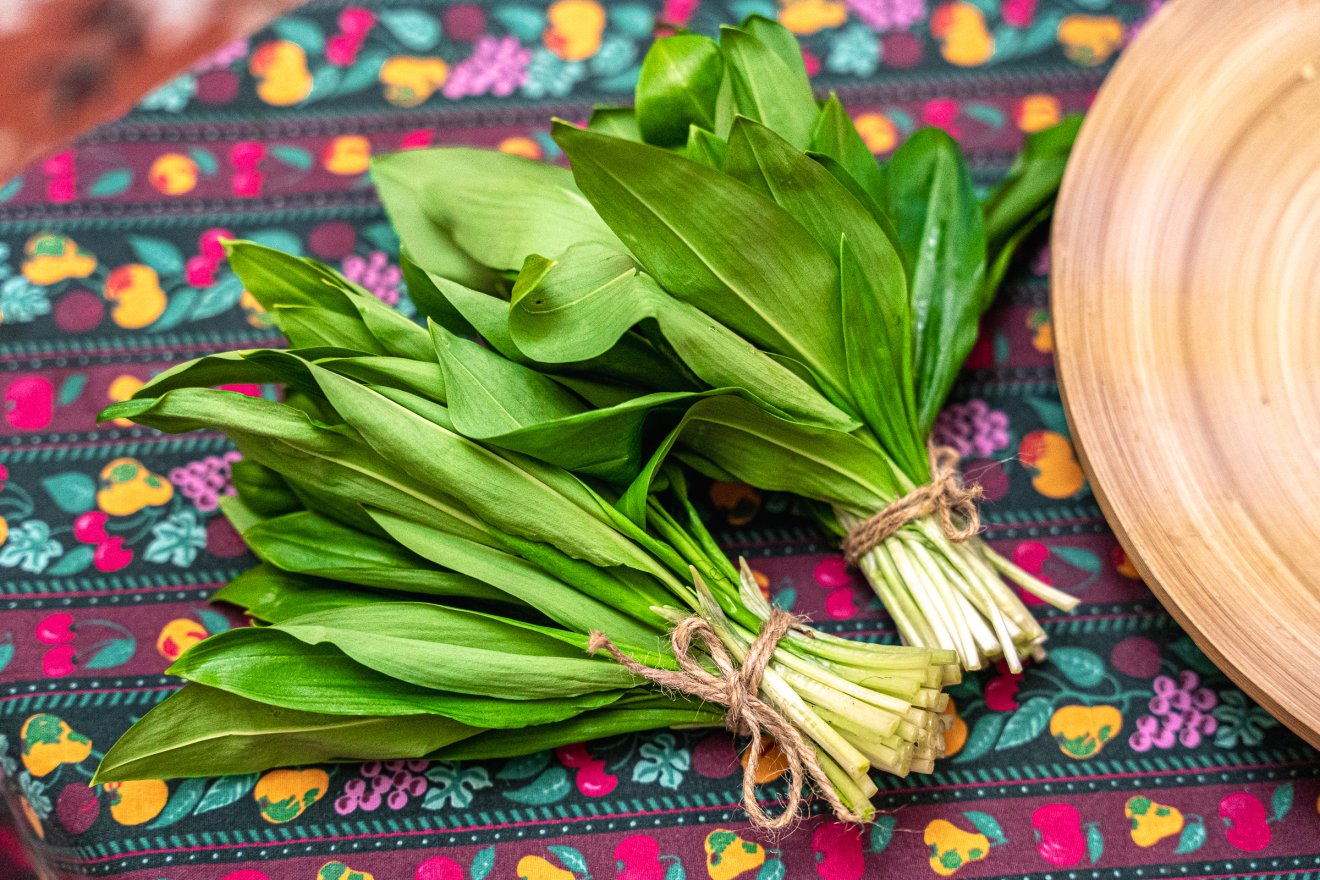 medvehagyma, tavasz, alapanyag, praktikus növény