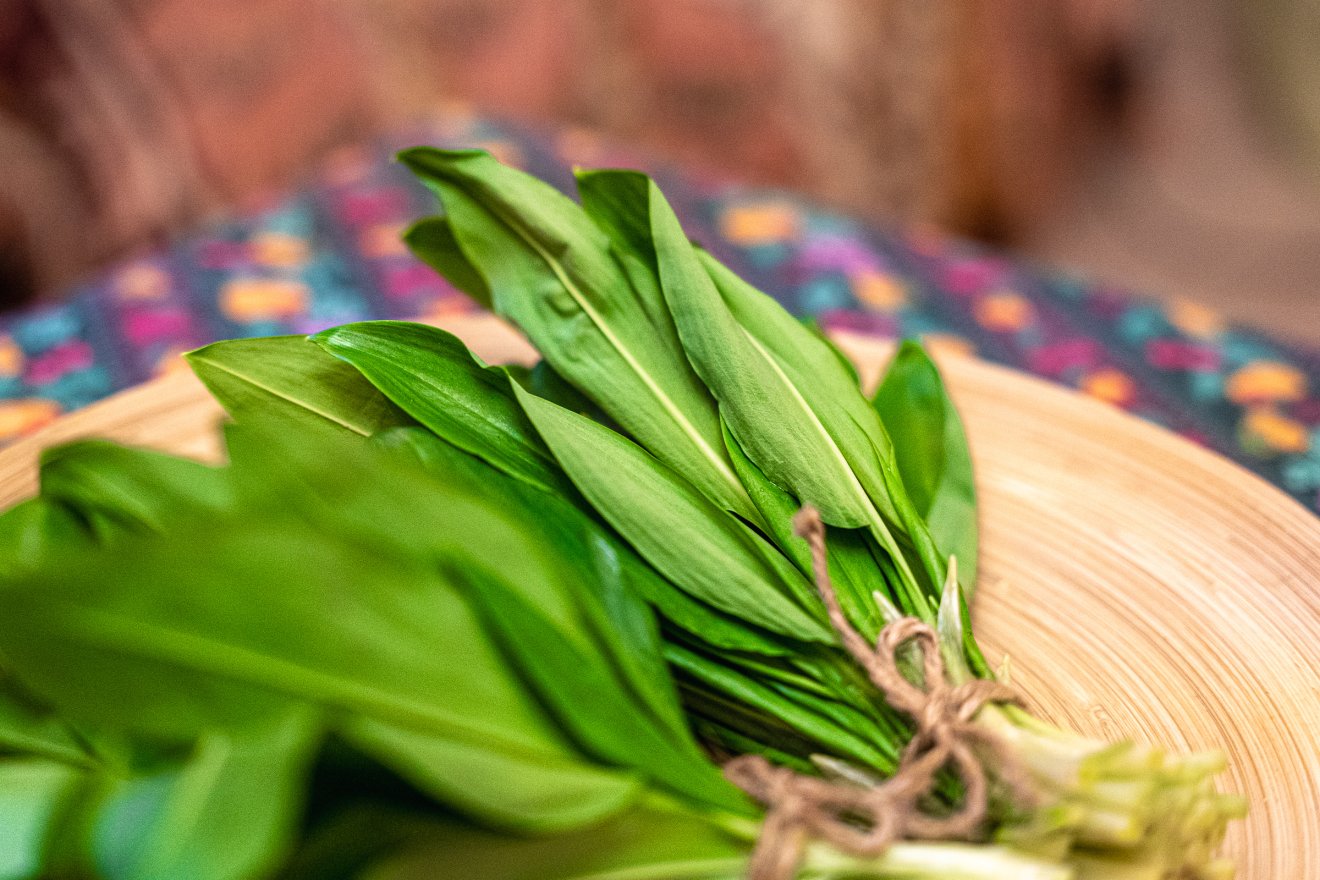 medvehagyma, tavasz, alapanyag, praktikus növény