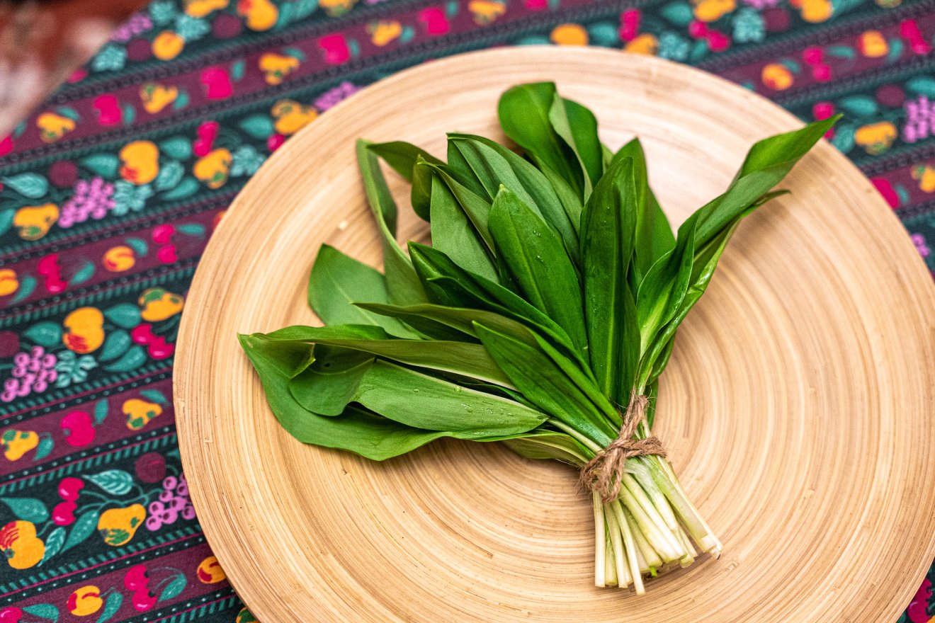 medvehagyma, tavasz, alapanyag, praktikus növény