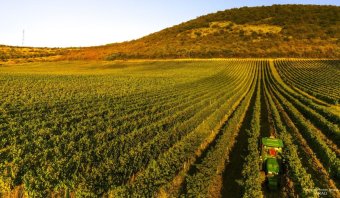 Magyar szaktekintély a történelmi borvidéken – Balla Géza munkásságát emeli ki a megyei önkormányzat