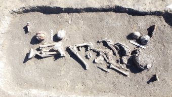 Római kori tömegsírt, 20 gyermekcsontvázat is azonosítottak egy erdélyi régészeti feltáráson