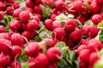 Igazi tavaszi aromát hordoz, friss, zöld levele is többféleképpen felhasználható a hónapos reteknek