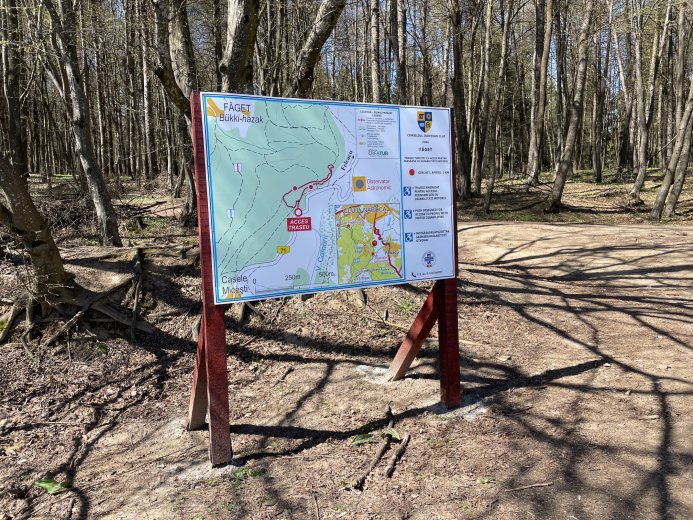 Mozgáskorlátozottak számára alakítottak ki túraútvonalat az erdőben