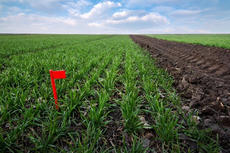 Nagyon megszigorítják a növényvédő szerek használatára vonatkozó szabályokat Romániában