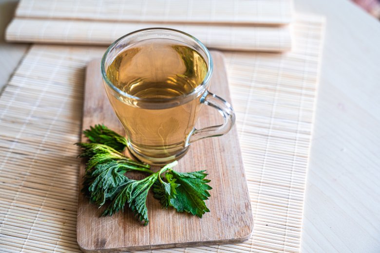 Csíp és mégis finom: tavaszi friss növényünk, a csalán a gasztronómiai kultúrában