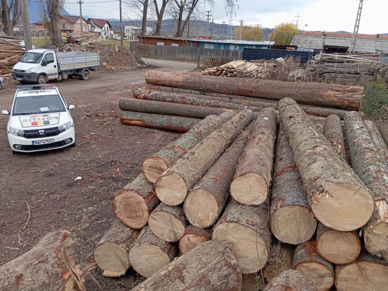 Tömeges szabálysértések az erdészeti ágazatban, naponta bírságol a rendőrség