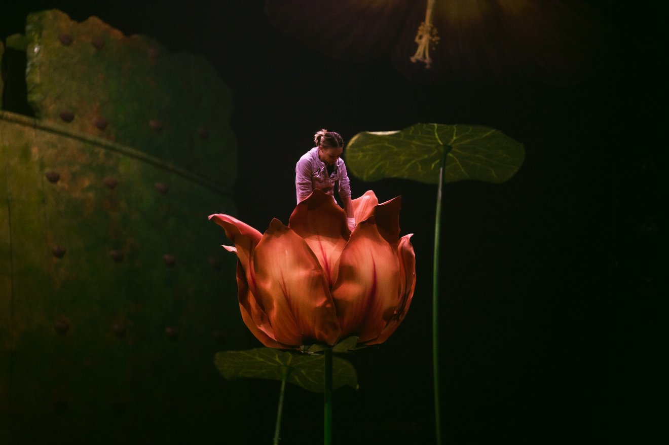 Cirque du Soleil