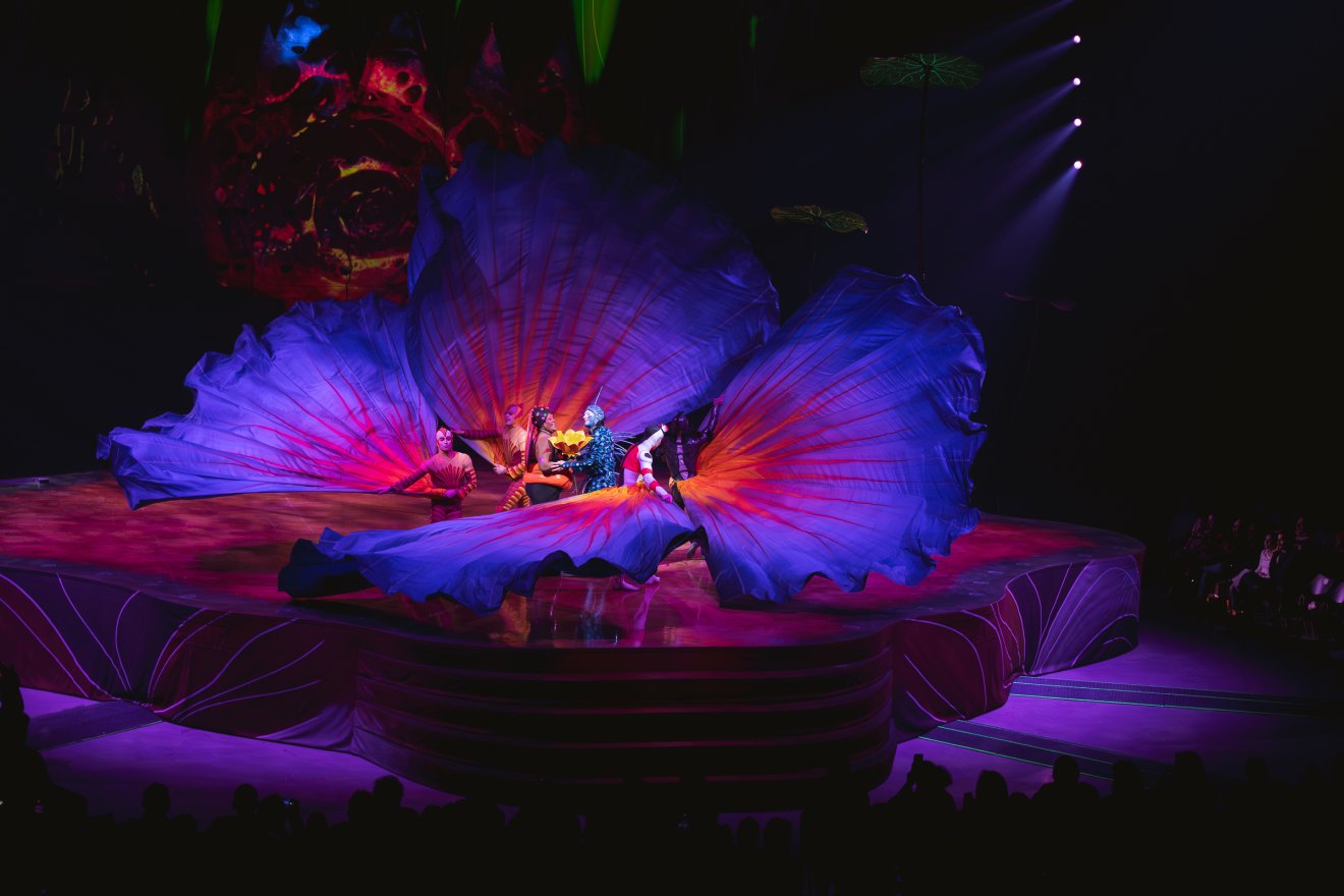 Cirque du Soleil