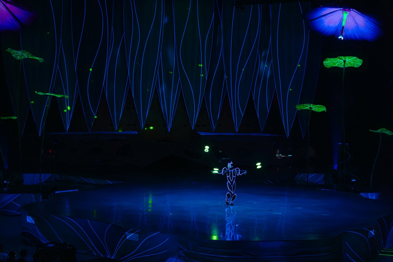 Cirque du Soleil