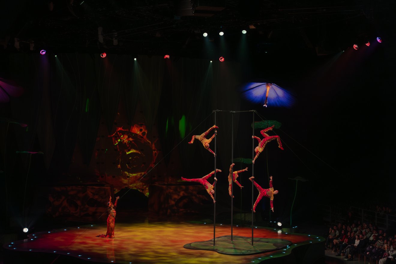 Cirque du Soleil