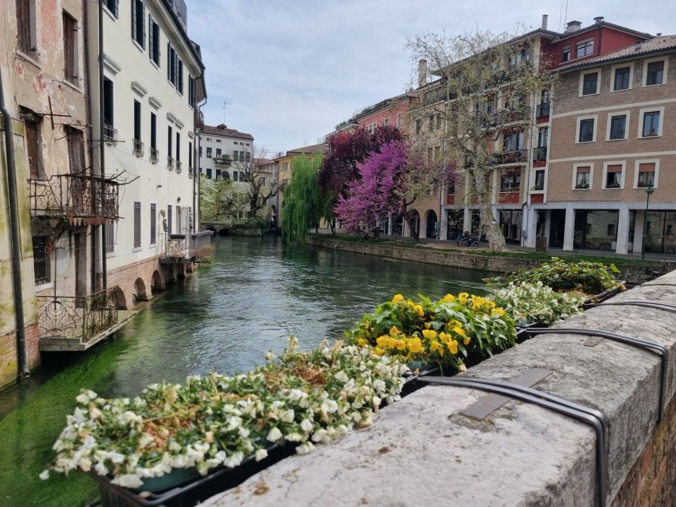 Olaszország, Treviso
