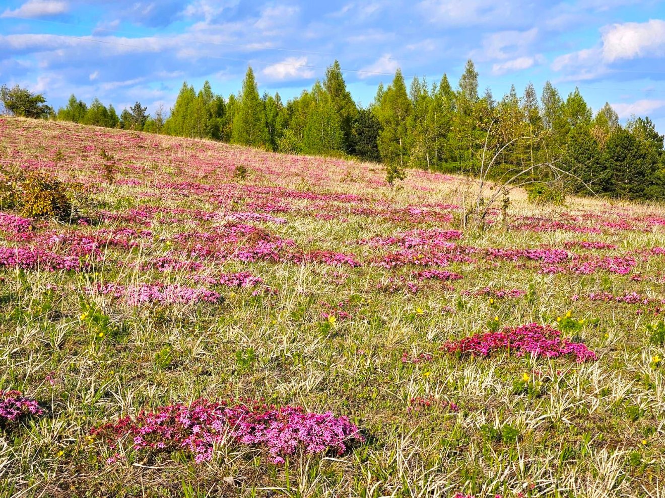 &bullet;  Fotó: Rostás Szabolcs