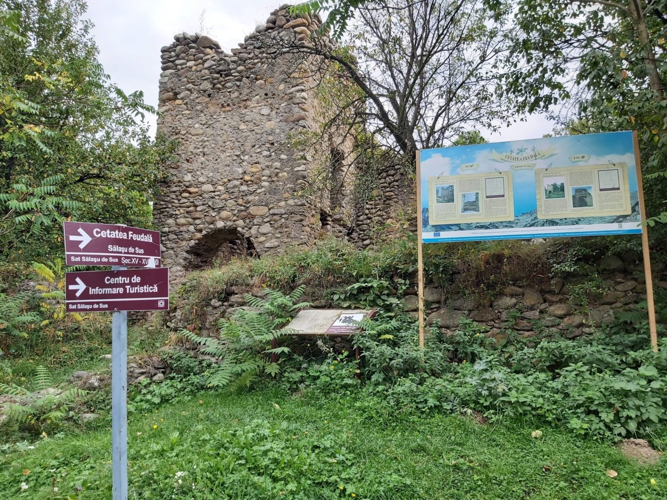 Hátszegi-medencébe