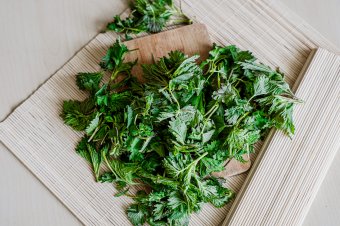 A csalán újra a konyhák élén: csíp, de visszahoz az életbe