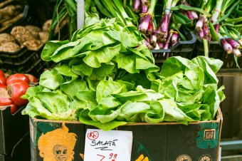 Nyersen, levesnek, főzeléknek: többféleképpen elkészíthető zöld zöldségünk, a saláta