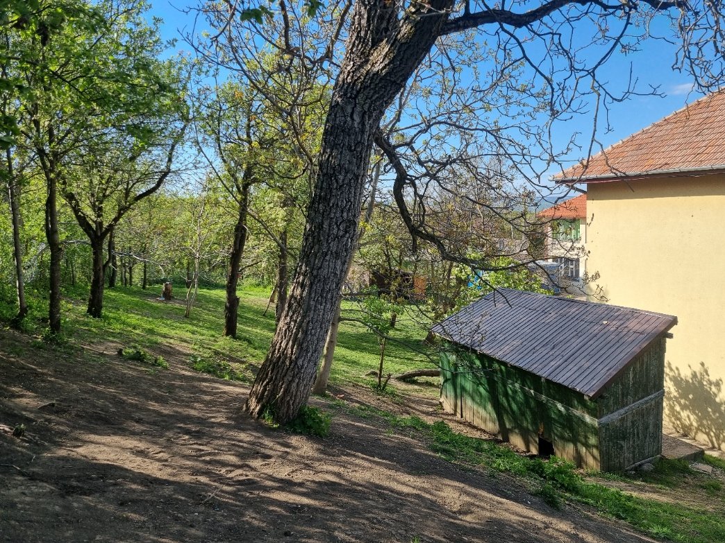 Györgyfalva iskolafelújítás