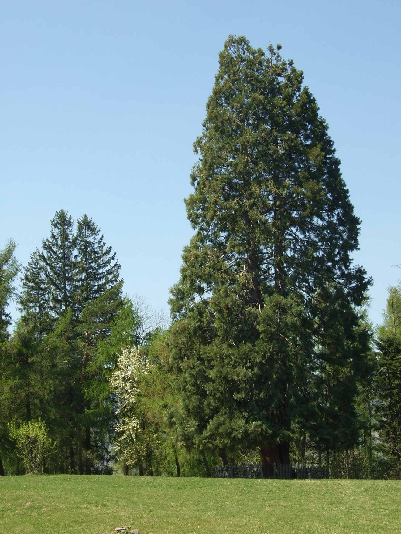 székelyói kalandpark
