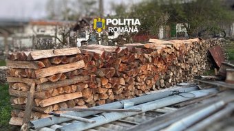 Erdészt és erdőmérnököt vett őrizetbe a Bihar megyei rendőrség