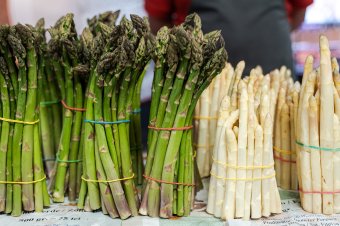Spárga, a különleges ízvilágú és aromájú, zöld-fehér tavaszi étek